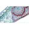 Камера цифровая окулярная BRESSER MikrOkular Full HD 73754